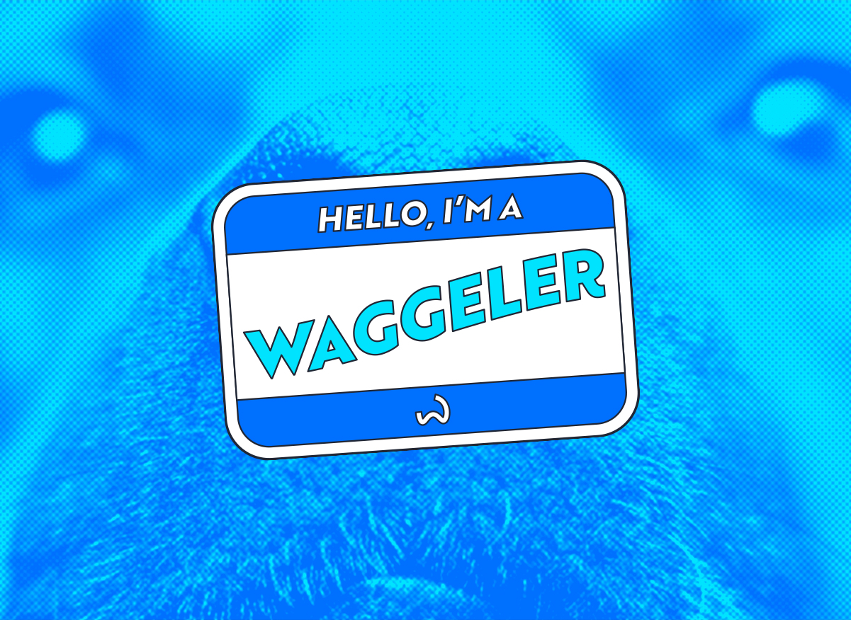 Waggel Disruption
